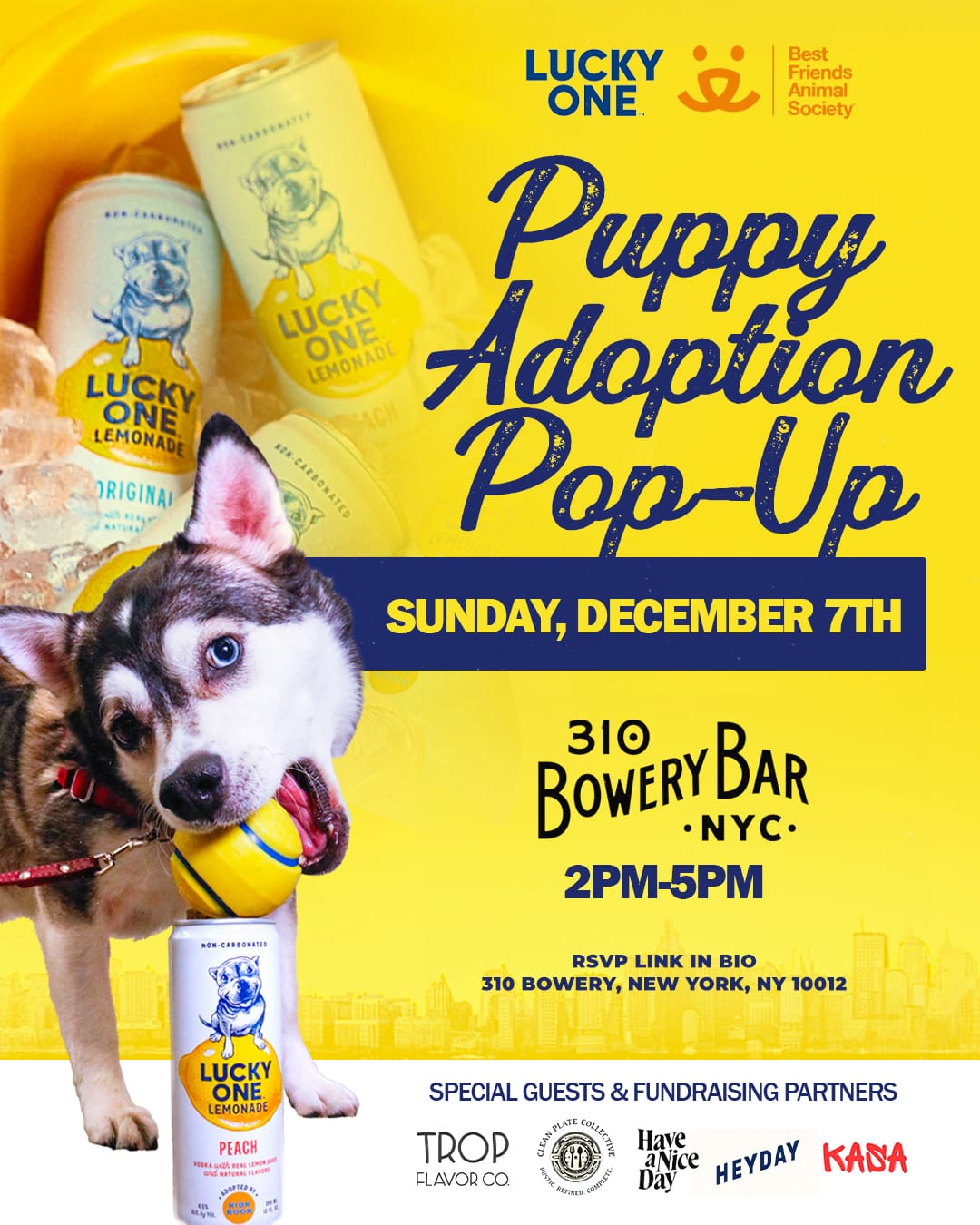 Puppy Adoption Pop-Up