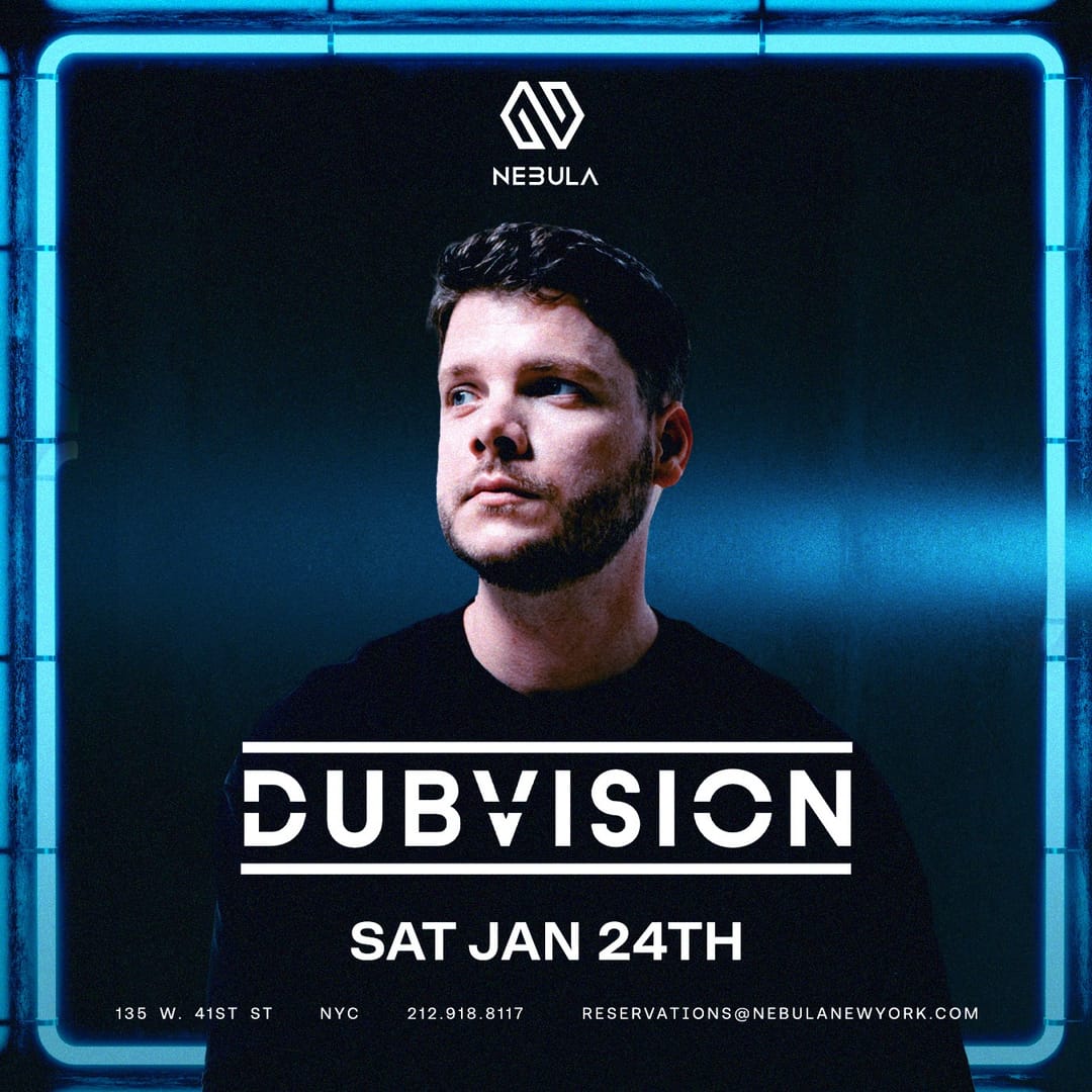 DUBVISION